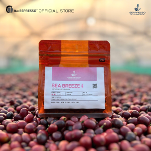 SEA BREEZE - Specialty Arabica Măng Đen Natural - Top 8 Vietnam Amazing Cup 2024