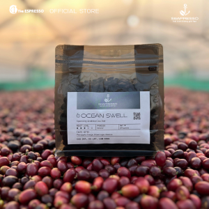 OCEAN SWELL | Specialty Arabica Cầu Đất Natural DARK ROAST