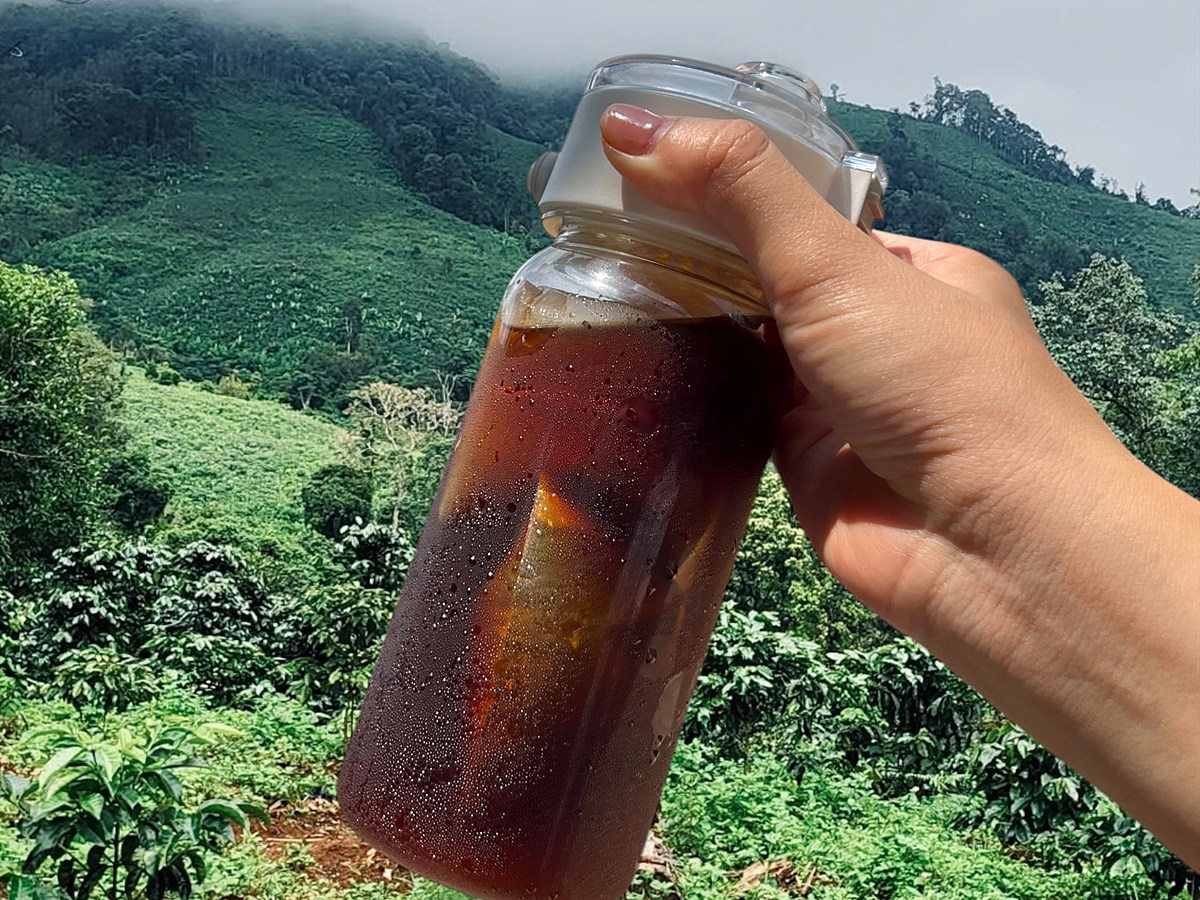 Bình cold brew mang theo giữa vườn cà phê